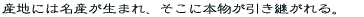 Ynɂ͖Y܂Aɖ{pB